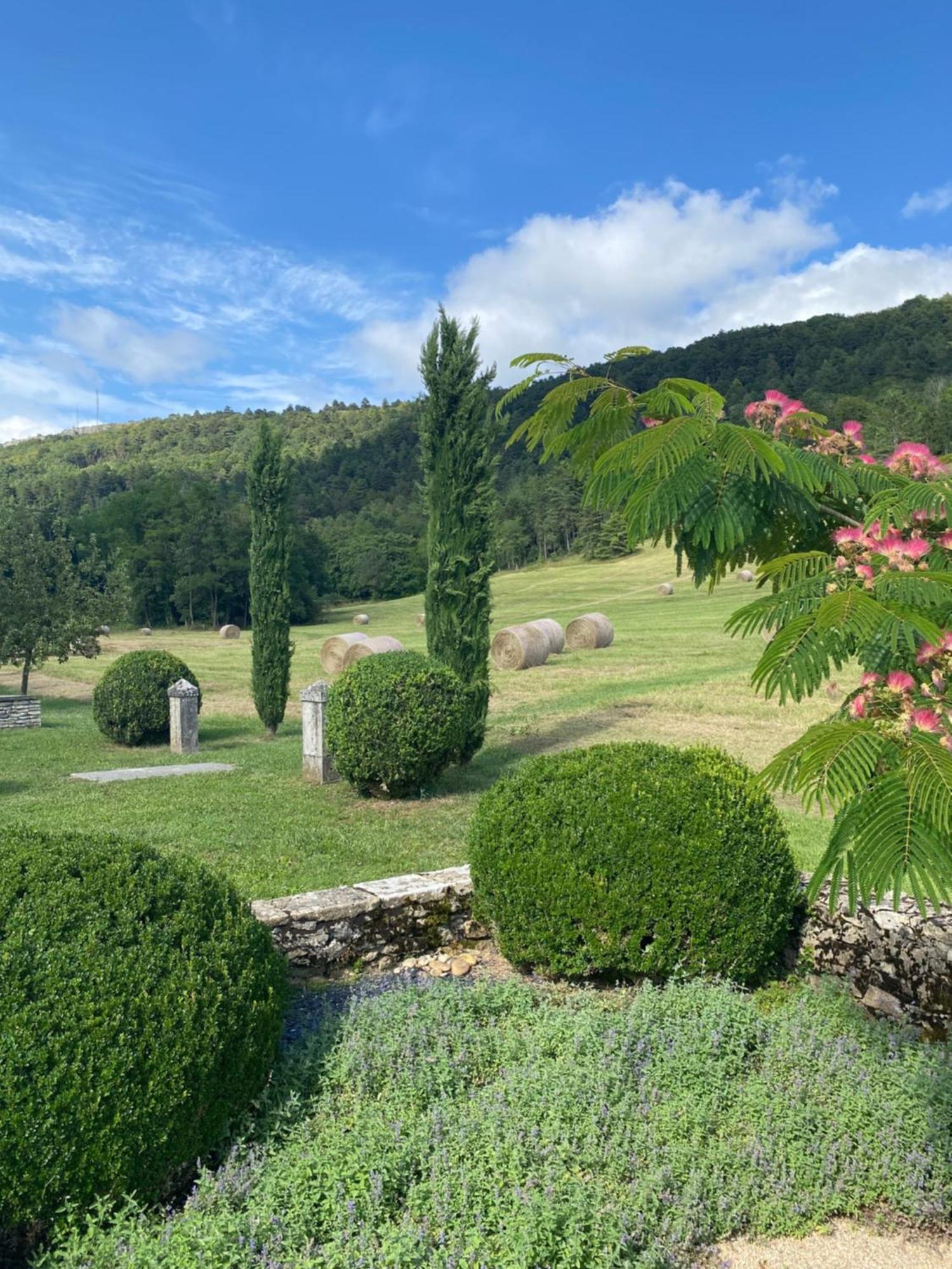 Clos De Mont July, Architecture Xviiie Au Coeur De La Nature Ceyzeriat Esterno foto